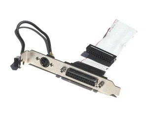 DB25F Parallel Port and PS2 Port in Slot Cover 2x4 - Picture 1 of 2