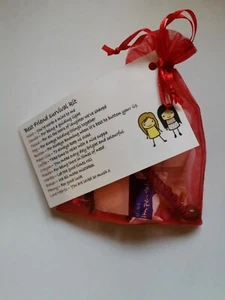 FRIEND Survival Kit, large organza bag, novelty gift - Picture 1 of 2