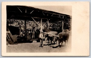 Baling Hay on a Farm Near Los Andes Chile c1910 Postcard - Picture 1 of 2