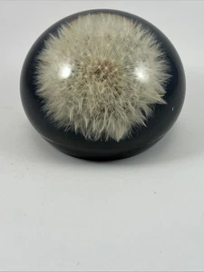 Dandelion Puff Resin Paperweight Made In Canada - Picture 1 of 5