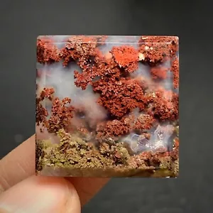 Cabochon Agata Muschio Scenico 22,5x22x4mm Alta Qualità 26,5 ct - Foto 1 di 6