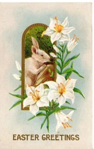 Cartolina d'epoca Pasqua 1910 a Miss Bertha Merrow Moultonville NH Coniglio - Foto 1 di 2