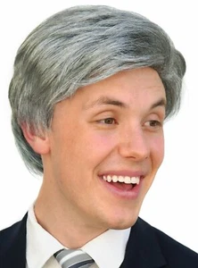 TV Show Host Costume Wig Adult Old Man Gray Hair Silver Grandpa Politician Comic - Picture 1 of 4