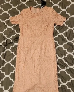 AMERICAN LIVING Womens 6 New Sheath Dress Lace Pink Dress with tags - Picture 1 of 6