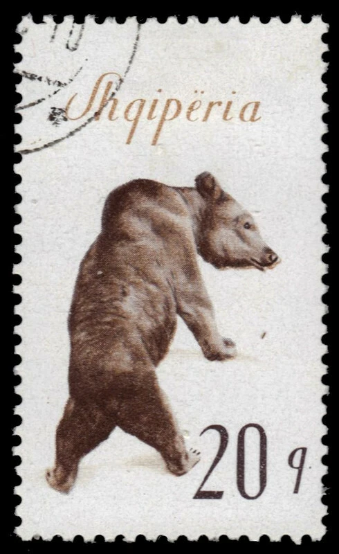 ALBÂNIA 885 - Urso marrom europeu "Ursus arctos" (pf79116) - Imagem 1 de 1