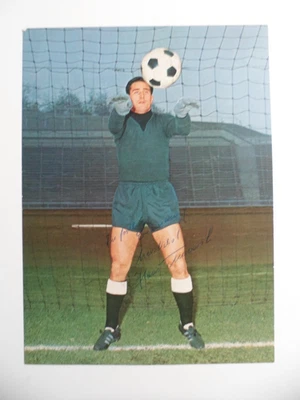 seltene A5-Serie Borussia Dortmund Bergmann 64/65 Tilkowski org. signiert 226 - Bild 1 von 4