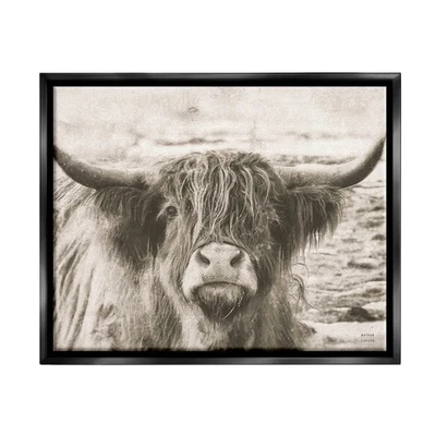 Stupell Industries Highland Cattle Cow Gazing Photography Floating Framed Wall A - Image 1 of 4