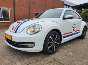new beetle herbie 53 pimple stickers sticker a love ladybug - Picture 1 of 8