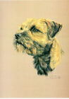 Border Terrier Limited Edition Art Print by UK Artist Sue Driver*