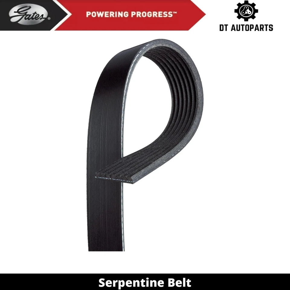 For 1997-2002 Dodge Viper 8L V10 GAS Serpentine Belt Gates 1998 1999 2000 2001 - Image 1 of 4