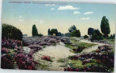 Lutterloh Wachholderlandschaft - Bild 1 von 2