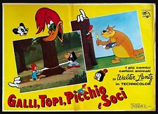 WOODY WOODPECKER , CHILLY WILLY- Original  1960  Italian Theater Poster - Rare