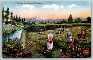 1912 Flower Farming California Riegers Perfumes Snow Mountain Postcard - B2 - Picture 1 of 2