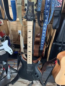 PRs Ce24 Dusty Waring - Bild 1 von 2
