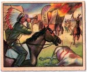 VINTAGE 1949 BOWMAN WILD WEST SERIES CARD C-20 WHITE BEAR #T368 - Picture 1 of 2