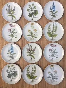 Juego de 12 platos de jardín botánico Vohenstrauss Johann Seltmann Baviera hierbas florales - Imagen 1 de 11