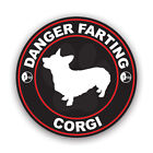 Danger Farting Corgi Sticker Decal - Weatherproof - dog canine pet corgi wales
