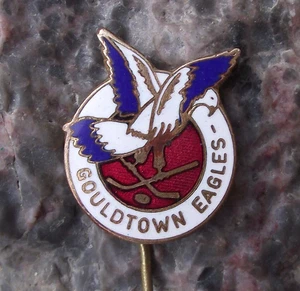 Vintage Gouldtown Eagles Former NHL Ice Hockey Pin Badge - Picture 1 of 3