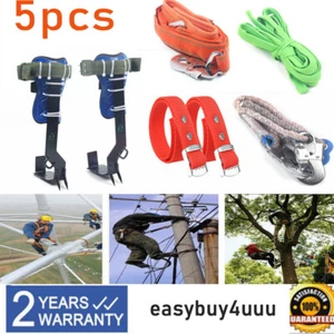 Tree/Pole Climbing Spike Safety Belt Straps Lanyard Carabiner Ropes 2 Gear 100kg - Picture 1 of 12