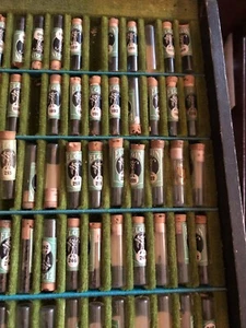 Reloj Elgin Vintage Grandes Joya Tornillos de Estuche Material Antiguo - Imagen 1 de 9