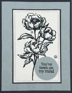 Stampin’ Up! Jeder Anlass - Bild 1 von 3