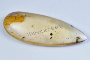 15,00 ct 100 % natürlicher gelber Bernstein Insekteneinschluss zertifiziert loser Edelstein - Bild 1 von 6