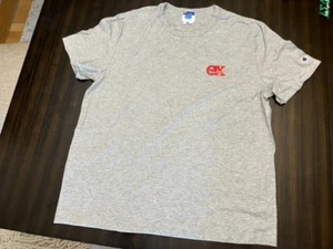Theta Chi Champion Short Sleeve T Grey with Embroidered Letters X LARGE - Picture 1 of 3