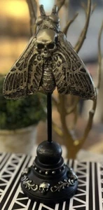Taxidermy Resin Skull Moth Halloween Shelf Display Gothic Gold Colored 9” - Picture 1 of 3