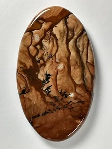 Deschutes Jasper Cabochon Large - Picture 1 of 3