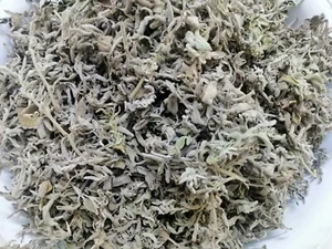 Pure Organic Sage Herb Exceptional Health and Therapeutic Power عشبه الميراميه - Picture 1 of 4