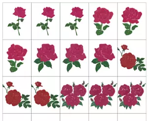COLLECTION 5 ROSES Embroidery Machine Designs Patterns PES JEF HUS DST USB - Picture 1 of 11