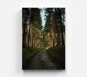 Wandbild Berge Landschaft Leinwandbild Sonnenuntergang Natur Bild Wald - Bild 1 von 5