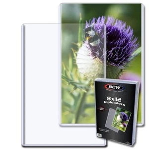 Pack of 20 BCW 8X12 Photo Topload Holder (1-TLCH-8X12) - Picture 1 of 1