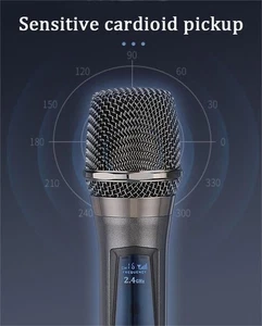2.4G Wireless Dual Microphone for Karaoke, Wireless Dynamic PROFESIONAL MICRO - Picture 1 of 5