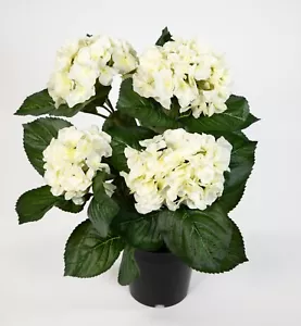 Hortensienbusch Deluxe 42cm weiß-creme im Topf LM Kunstpflanzen künstliche Blume - Bild 1 von 5