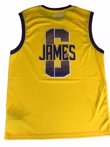 NBA LeBron James #6 Los Angeles Lakers Herren Basketball Trikot Gr. L gelb - Bild 1 von 8