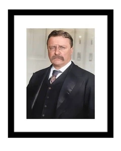 Theodore Roosevelt 8x10 Photo Print in suit color TR rough rider president - Picture 1 of 2