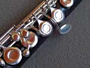 A.E. FISCHER GERMAN WOODEN FLUTE • FULLY OVERHAULED • VIDE@@ - Imagen 1 de 24