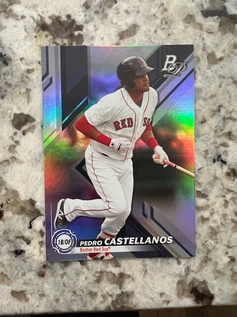 2019 BOWMAN PLATINUM TOP PROSPECTS RC CARD BOSTON RED SOX PEDRO CASTELLANOS TOP - Image 1 of 1