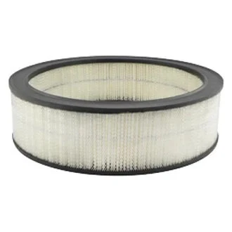 For GMC K2500 1979 Baldwin Filters PA2008 Air Filter Element - Изображение 1 из 1