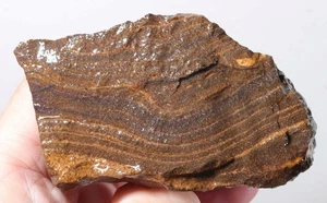 Australien Boulder Sandstein Lapidar 11,9 oz grob - Bild 1 von 16