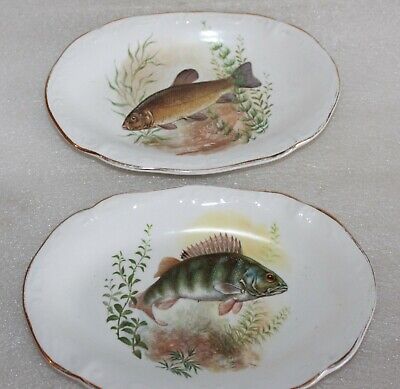 2 Oval China Fish Plates Trays With Perch & Tench Fish Scenes To Centre • 4.79£