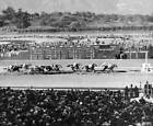 Race Horse Seabiscuit & Red Pollard Etc 1930S 14 Old Horse Racing Photo