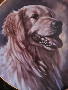 Danbury Mint Collectors Plate PROUD PORTRAIT From The Golden Retriever - Picture 1 of 4