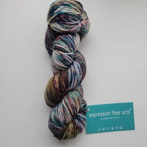 Expression Fiber Arts Enduring Worsted SW Merino Nylon 180yds TIME TRAVELER - Picture 1 of 8
