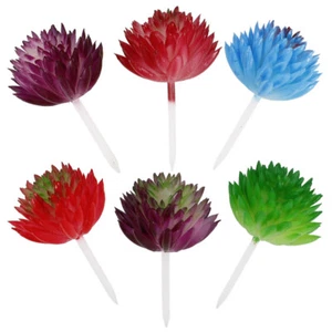 6PCS Simulated Succulent Plants Lifelike Desktop Adornments Plant Ornaments - Picture 1 of 12