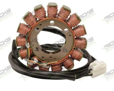 Estator Ricks para Ducati Monster 696 2009-2011 Foto 1 de 3