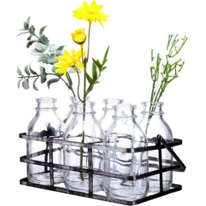 Mason Jar Flower Vases Decorative Glass Bottles Set with Metal Basket (Set of 6) - Picture 1 of 13