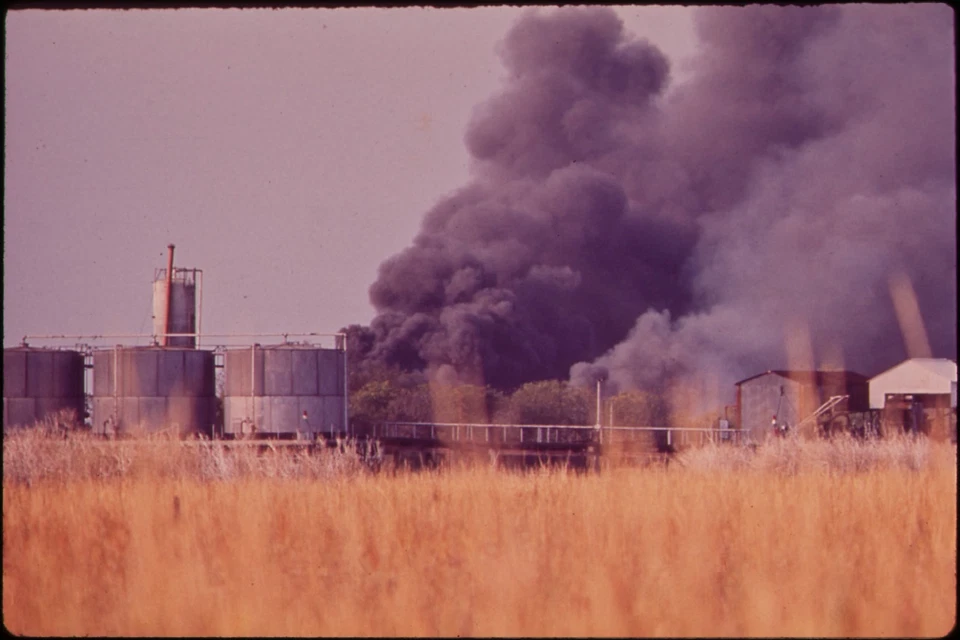 Poster, Many Sizes; A Panorama From The Palatine, Rome, Italy Lccn2001700956 - Image 1 of 1
