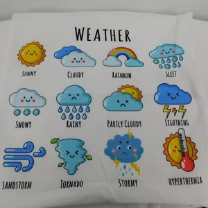 Weather Throw Pillow Cover Kids Room Classroom Sunny Cloudy Rainbow Snowy 17.5" - Picture 1 of 9
